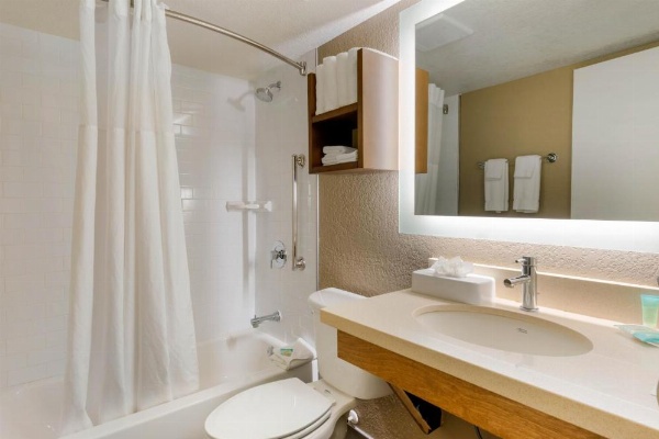 Staybridge Suites - Orlando Royale Parc Suites image 18