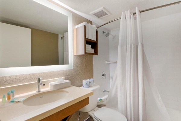 Staybridge Suites - Orlando Royale Parc Suites image 19