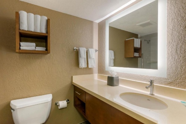 Staybridge Suites - Orlando Royale Parc Suites image 25