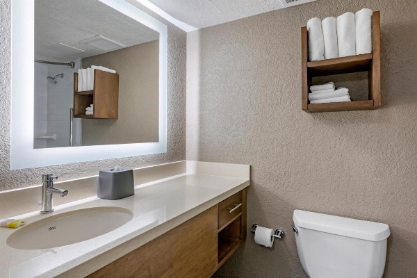 Staybridge Suites - Orlando Royale Parc Suites image 4